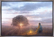 Load image into Gallery viewer, The Light of Life
