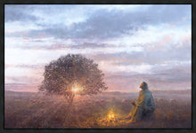Load image into Gallery viewer, The Light of Life
