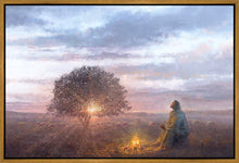 Load image into Gallery viewer, The Light of Life
