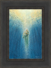 Load image into Gallery viewer, Rescue Me
