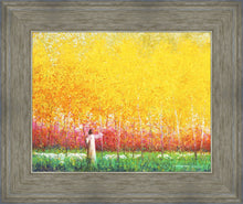 Load image into Gallery viewer, In His Light
