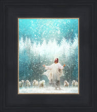 Load image into Gallery viewer, Radiance
