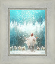 Load image into Gallery viewer, Radiance
