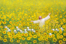 Load image into Gallery viewer, Be Glad and Rejoice
