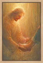 Load image into Gallery viewer, Sanctification
