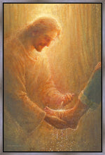 Load image into Gallery viewer, Sanctification
