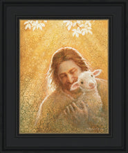 Load image into Gallery viewer, In God's Favor
