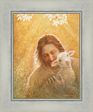 Load image into Gallery viewer, In God's Favor
