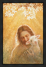 Load image into Gallery viewer, In God's Favor
