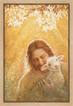 Load image into Gallery viewer, In God's Favor

