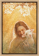 Load image into Gallery viewer, In God's Favor
