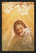 Load image into Gallery viewer, In God's Favor
