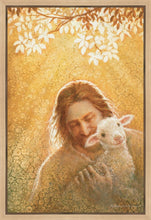 Load image into Gallery viewer, In God's Favor
