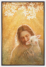 Load image into Gallery viewer, In God's Favor
