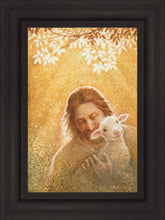 Load image into Gallery viewer, In God's Favor
