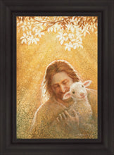 Load image into Gallery viewer, In God's Favor
