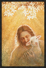 Load image into Gallery viewer, In God's Favor
