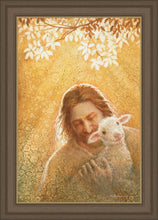 Load image into Gallery viewer, In God's Favor
