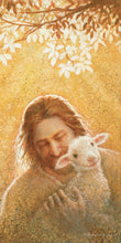 Load image into Gallery viewer, In God's Favor
