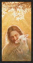 Load image into Gallery viewer, In God's Favor
