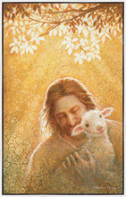 Load image into Gallery viewer, In God's Favor
