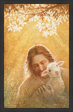 Load image into Gallery viewer, In God's Favor
