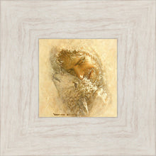 Load image into Gallery viewer, Found
