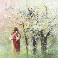 Load image into Gallery viewer, Heavenly Blossoms
