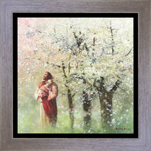 Load image into Gallery viewer, Heavenly Blossoms
