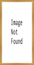 Load image into Gallery viewer, In His Keeping
