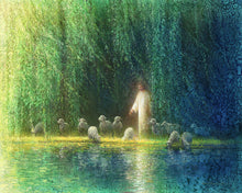 Load image into Gallery viewer, Among The Willows
