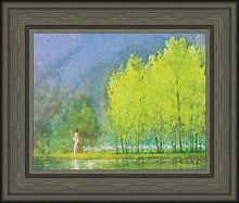 Load image into Gallery viewer, Moment of Peace
