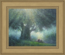 Load image into Gallery viewer, He Has Delivered Us
