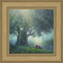 Load image into Gallery viewer, He Has Delivered Us

