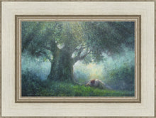 Load image into Gallery viewer, He Has Delivered Us
