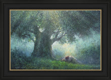 Load image into Gallery viewer, He Has Delivered Us
