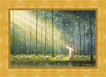 Load image into Gallery viewer, Rest

