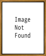 Load image into Gallery viewer, I Shall Not Want
