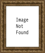 Load image into Gallery viewer, I Shall Not Want

