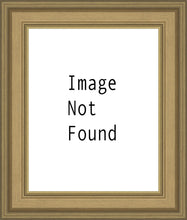 Load image into Gallery viewer, I Shall Not Want
