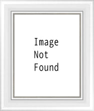 Load image into Gallery viewer, I Shall Not Want
