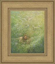Load image into Gallery viewer, We Are All Wildflowers
