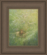 Load image into Gallery viewer, We Are All Wildflowers
