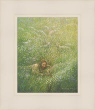 Load image into Gallery viewer, We Are All Wildflowers
