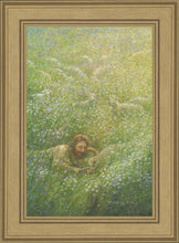 Load image into Gallery viewer, We Are All Wildflowers
