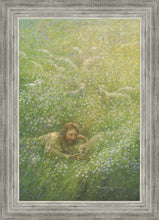 Load image into Gallery viewer, We Are All Wildflowers
