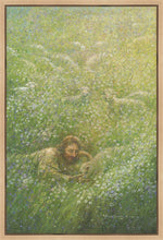 Load image into Gallery viewer, We Are All Wildflowers
