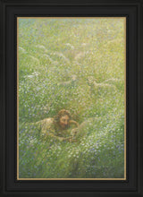 Load image into Gallery viewer, We Are All Wildflowers
