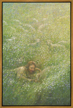 Load image into Gallery viewer, We Are All Wildflowers
