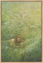 Load image into Gallery viewer, We Are All Wildflowers

